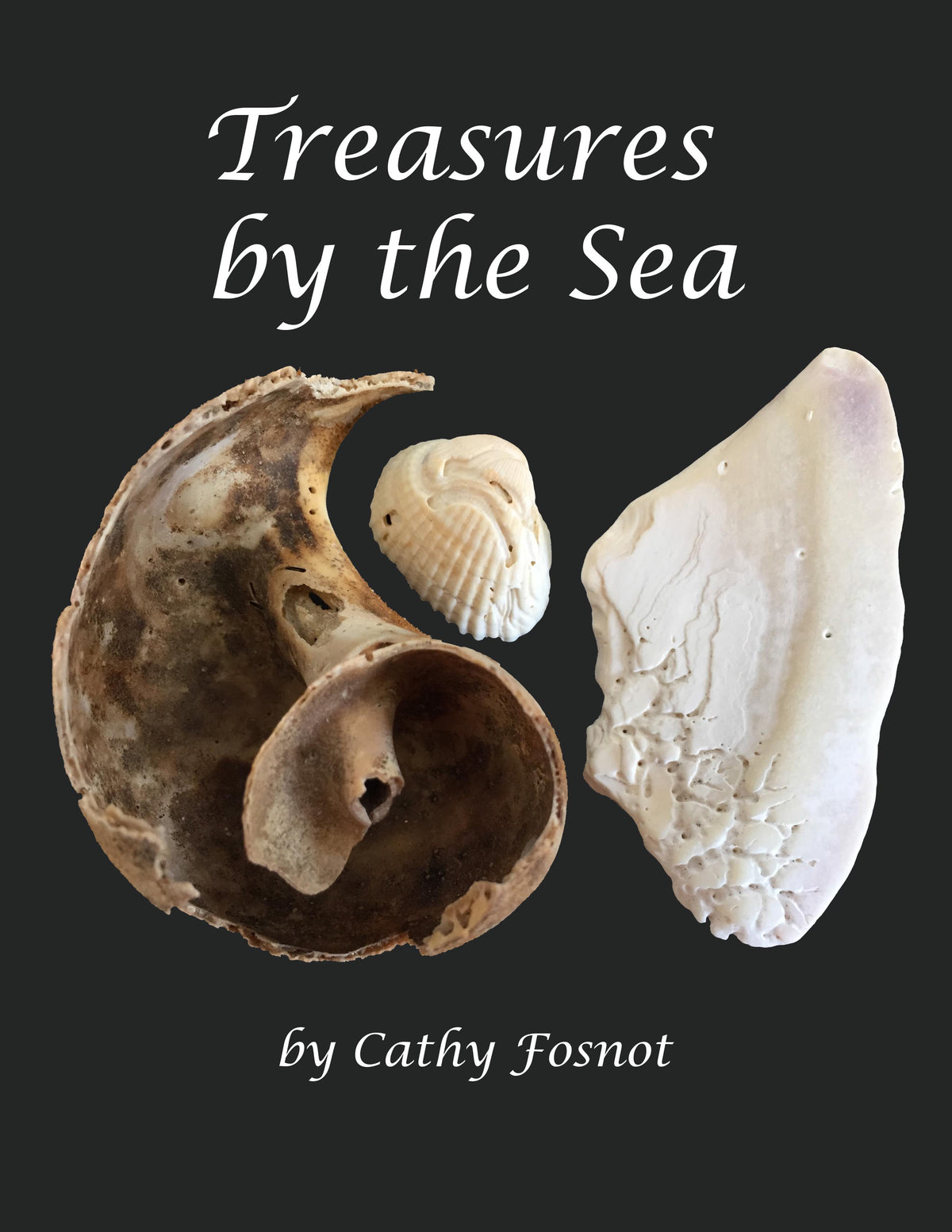 fosnot math treasures by the sea