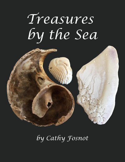 Treasures by the Sea - Read Aloud Paperback for My Favorite Collections